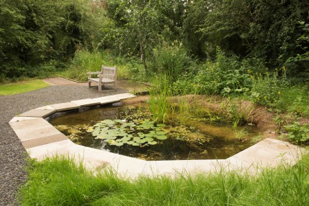 our beautiful new murky pond